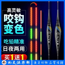 咬鈎變色夜光漂高靈敏電子漂 鯽魚日夜兩用納米魚漂 野釣電子浮標, 1個, A-06吃鉛3.0g綜合混養漂,一隻裝日夜兩用+5顆電池