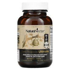 네츄라넥타 그린프로폴리스 포리폴리스 bee propolis ultimate 60캡슐, 60정, 1개