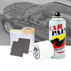 르노 삼성 전차종 카페인트 스프레이 순정품 (전고객 사은품증정), 르노삼성 KAD 어반그레이36 (비오랩), 1개, 컬러스프레이