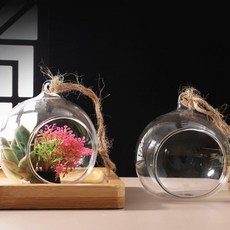 사라마켓 투명볼 5쌍 인테리어 케이스, 8cm