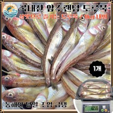 [제철 놓치면 말짱 도루묵] 국내산 알배기 도루묵 / 동해안 조업 급냉 / 산지 직송, 1개, 숫도루묵 1kg (20미 내외)