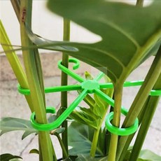 내픽 식물 고리형 지지대 4개 방울토마토지지대