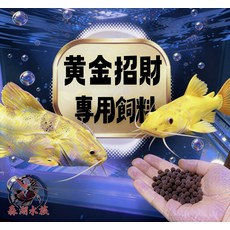 黃金招財專用飼料, 1個, 黃金色