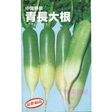 青長大根種子 可長至20-25公分 帶有甜味, 1包