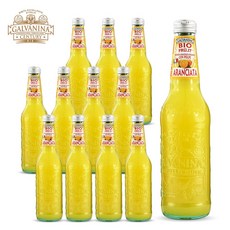 갈바니나 유기농 오렌지 소다 355mlx12ea, 355ml, 12개