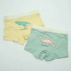 恐龙画內褲 2 件套適合小男孩 Tyranno Brachio