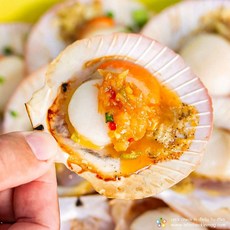 통영 제철 세척 비단가리비 홍가리비 홍가리비 속살 냉장 산지직송, 1개, 홍가리비 속살 2kg