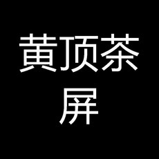 PC有機防護電焊面罩具頭戴式護目屏, 1個, 黃頂茶屏