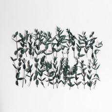 화연양화 프리저브드 유칼립투스 30pcs 청첩장 답례품 포장용