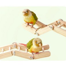 새 사다리 등반 씹기 다리 앵무새 스탠드, 1개, 기본