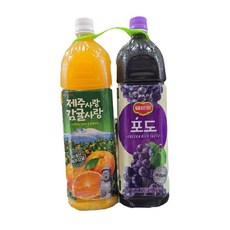 롯데칠성 제주감귤+델몬트포도 1.5L X 2개입, 2개