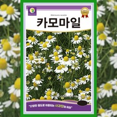 케모마일 씨앗 1g 카모마일 허브 종자 허브씨 키우기 텃밭