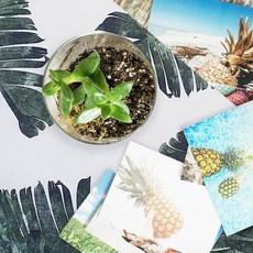 포스터 인테리어액자 테피스트리 패브릭 벽장식 인테리어장식 잎사귀 대형 가림천, 1개