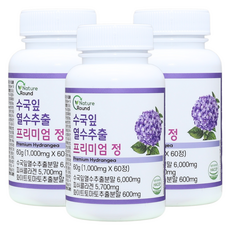 네이처라운드 수국잎열수추출물 AMPK효소 1000mg, 3개, 60정