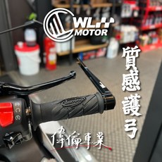 偉倫精品零件 W-Tech 偉輪車業專屬護弓全CNC鋁件質感護弓特殊外型設計不限車種, 1個, 銀