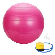 YELARXI 요가 볼 운동 공 74.9cm(29.5인치) 및 PVC & 블루 미끄럼 방지 안정성 필라테스 매우 두꺼운 출생 운동 펌프 포함 - 적합 (짐 밸런스 피트니스 코, Pink