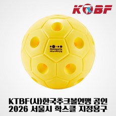 뉴스포츠 스페이스볼 (소) 추크볼 츄크볼 학교체육, 1개