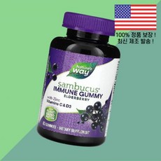 네이처스 웨이 삼부커스 젤리 구미 엘더베리 60정 Nature's Way Sambucus Immune Gummy Elderberry 60 Gummies, 1개