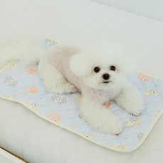 스카이몰 강아지 산책 매트, 1개, 강아지블루