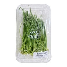 국내산 영양부추 1/2단, 1개