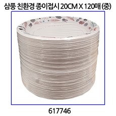삼풍 종이접시 (친환경)20CM X 120매 (중), 60개입, 2개