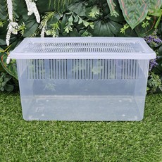 크레스티드 게코 JIF 적재형 사육장 단품, 1개, 투명(대 Ver.2)