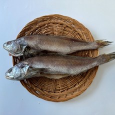 엄선수확 국내산 손질 민어 프리미엄 통민어 급냉 신선민어, 1개, 국산 통민어 1미