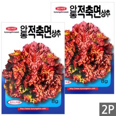 세인화분 안동 적축면 상추 8g - 상추씨 채소 씨 씨앗 빨간 상추, 2개