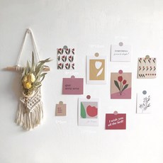 가팡 드라이플라워 장식 DRYD021, 04번 혼합