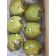 [프리미엄등급] 호아마이 베트남 그린 생코코넛 1 box, 1박스, 생그린 12과