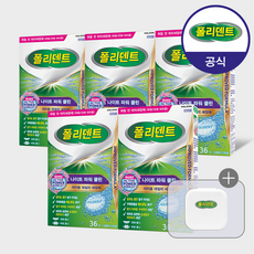 폴리덴트 나이트 의치 세정제 36정x5박스+(케이스 증정), 36개, 36개입