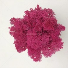 인공 녹색 식물 영원한 생명 DIY 잔디 홈 룸 미니 가짜 50g, 12)10g, rose