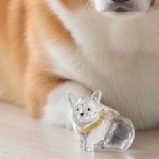 마켓프리 강아지 털 키링