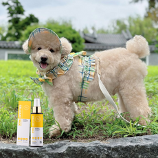 두카메디 셀케어 워크 강아지 줄기세포 진드기 해충방지 산책 스프레이, 100ml, 1개