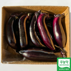 [위천농산물] 국내산 친환경 무농약 못난이 가지, 1박스, 1.5kg
