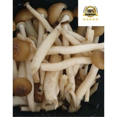 국내산 만가닥 버섯 갈색 만가닥 버섯, 1개, 2kg