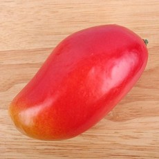 망고 모형 모조 과일 인조 가짜 인조망고 소품 you4+3DHG