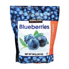 코스트코 건블루베리 567g 말린 건조 건과류 블루베리, 1개