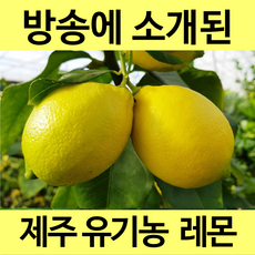 [통째로 레몬] 제주 친환경 무농약 유기농 레몬 3kg 5kg 껍질까지 통째로 먹는 레몬, 1박스, 친환경 유기농 3kg