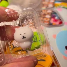 비공구오 곰미니말랑이, 5세트