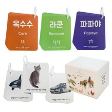 베베코지 실사 아기 낱말 카드 플래시 160장 고리 포함, 팝업, 베베코지 낱말카드