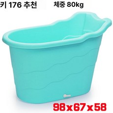 예쁜 미니 반신욕기 반신욕 가정용사우나 가정용 편백나무, 대형 블루, 기본 색상