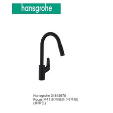 德國 Hansgrohe 漢斯格雅 Focus M41 31815670 廚房伸縮龍頭 (霧黑色/不鏽鋼毛絲面), 1個, 不鏽鋼毛絲面