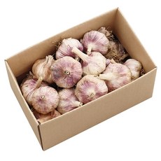 더옹달샘 햇 수확 국산 마늘 통마늘 1kg 중+대 혼합, 1개