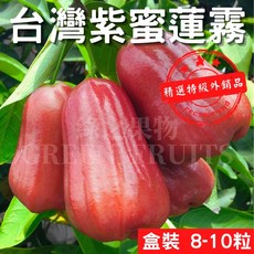 綠之果物 紫蜜蓮霧禮盒 (子彈蓮霧 黑珍珠蓮霧 黑金剛蓮霧) 台灣水果禮盒, 1個, 手提盒-六龜紫蜜蓮霧1.8公斤±10%