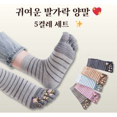 여성 발가락양말 5켤레 세트 | 순면 데일리 편안한 착용감