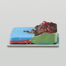 (JLS) 지각구조모형 (지구표면모형) 500x300x300mm 지구과학교재