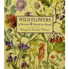 Wild Flowers of Britain: Month by Month, Merlin Unwin Books