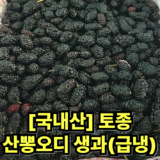 [국내산] 토종 오디 생과(급냉) 산지직송 뽕열매 오디, 1개, 5kg