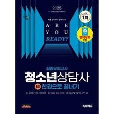 2025 시대에듀 청소년상담사 2급 최종모의고사 한권으로 끝내기, 시대고시기획 시대교육